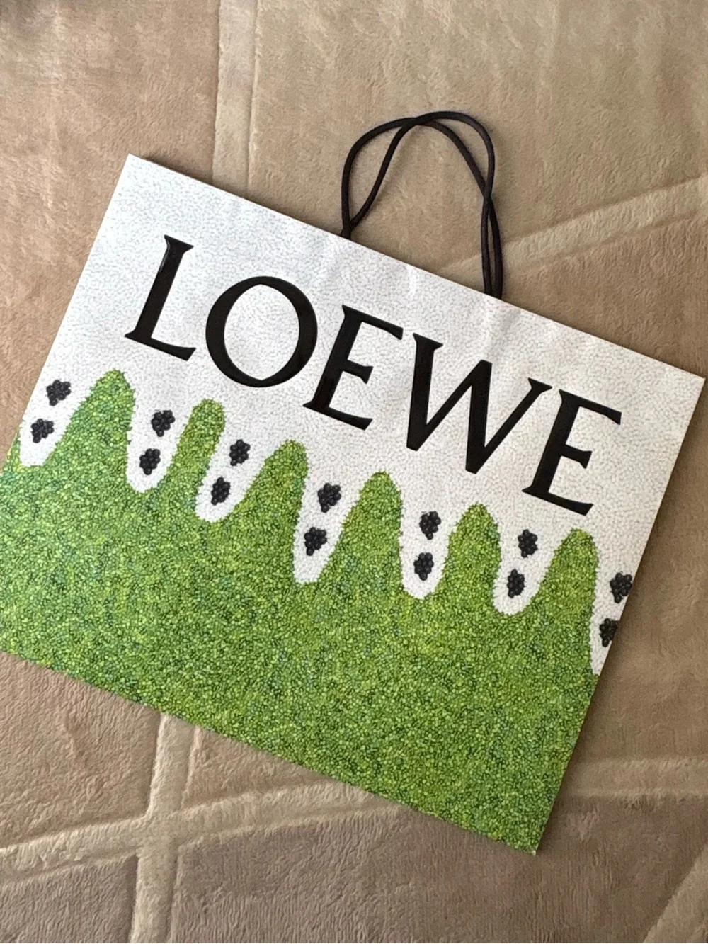 Loewe White and Green Graphic Logo Shopping Bag
